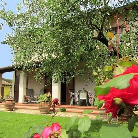 Casa Vacanze Lulu Camaiore Buitenkant foto