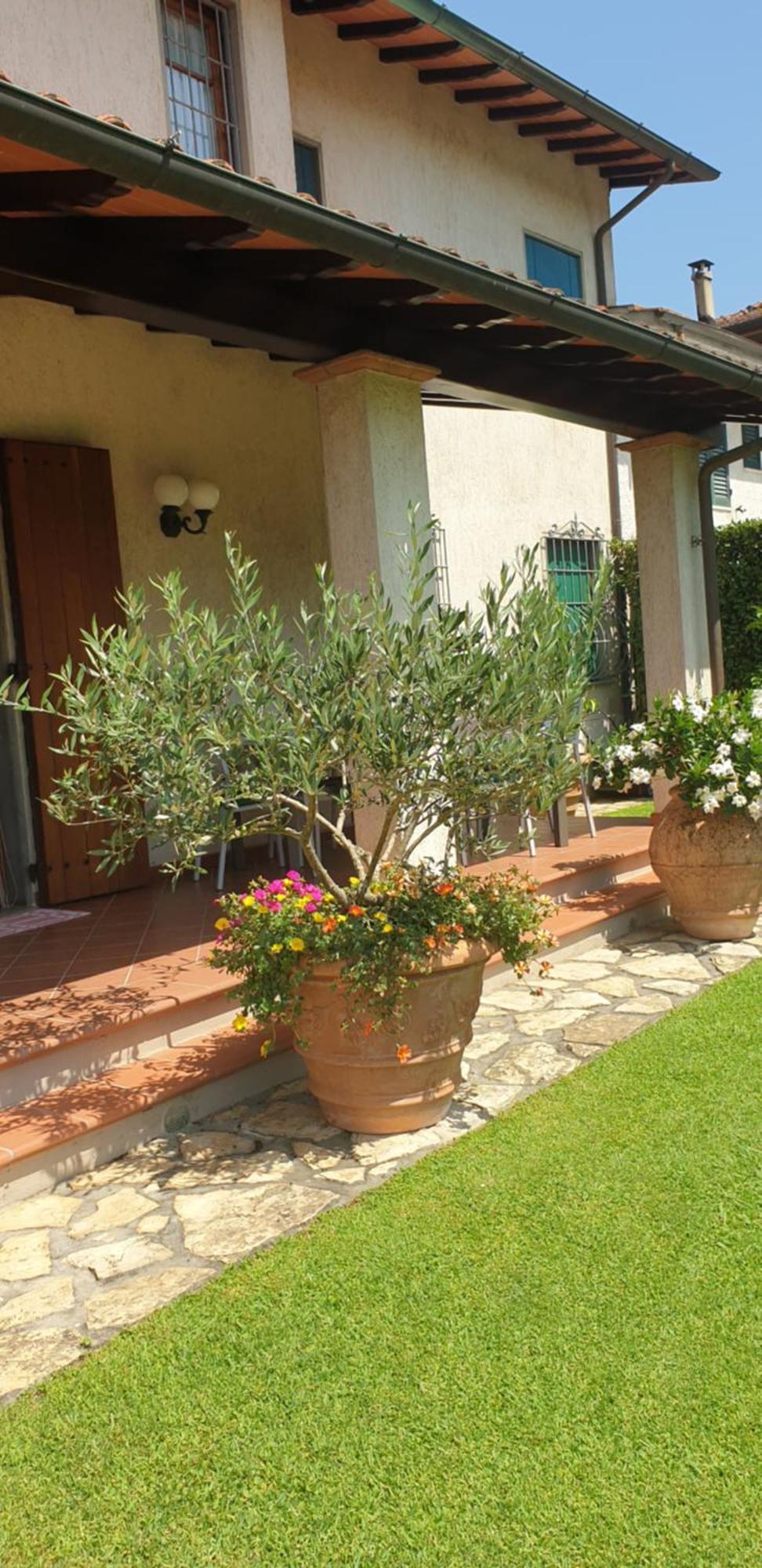 Casa Vacanze Lulu Camaiore Buitenkant foto